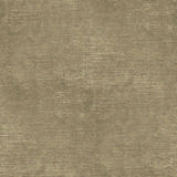 Coco-02-sabbia.jpg